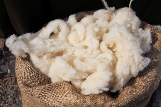 The Many Benefits of Wool