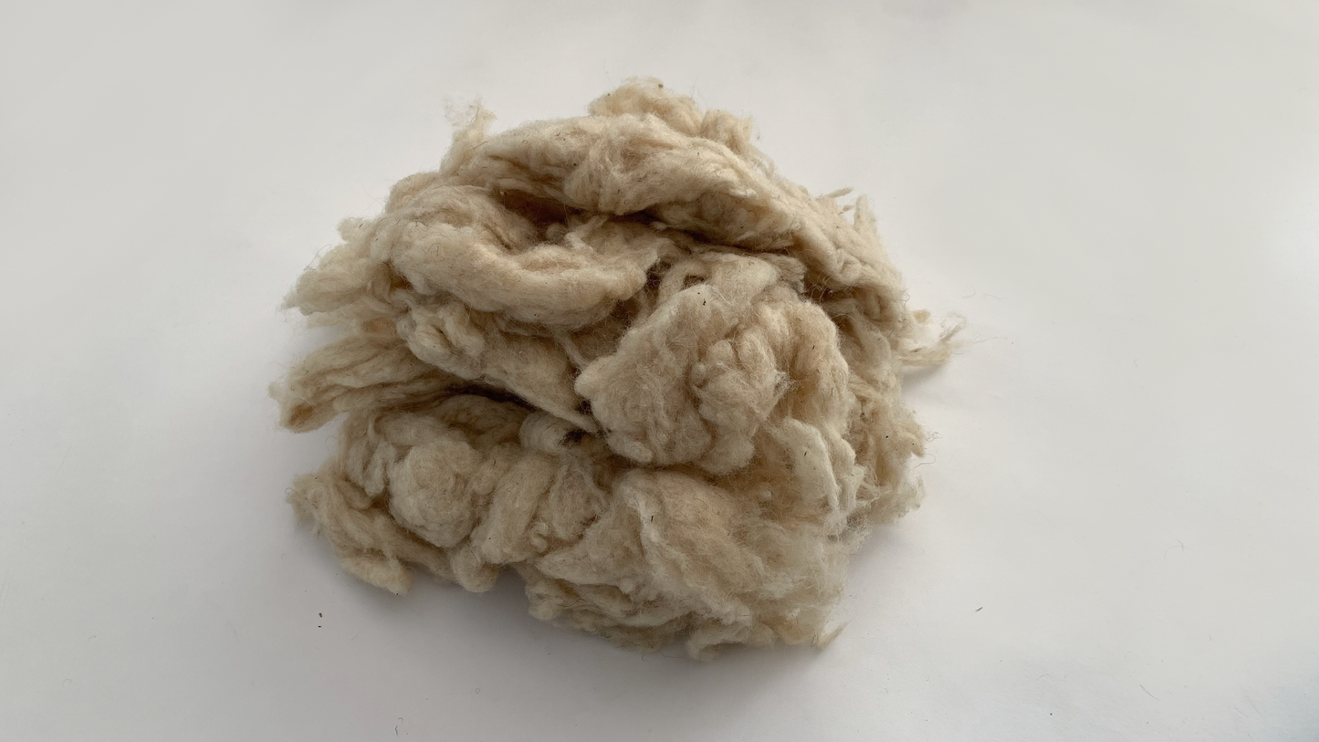 Woollux - Wool Filling