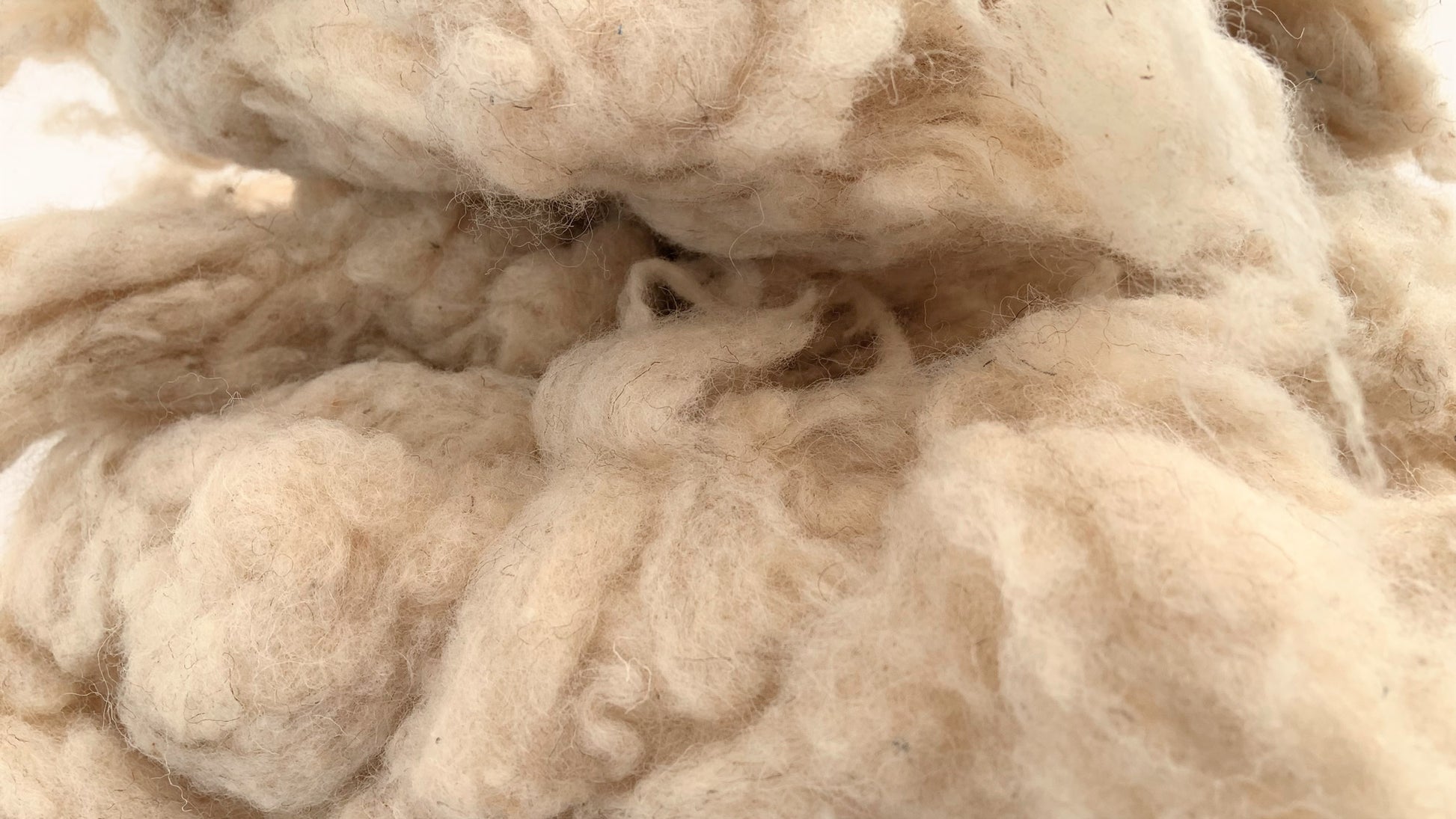 one pound wool batting